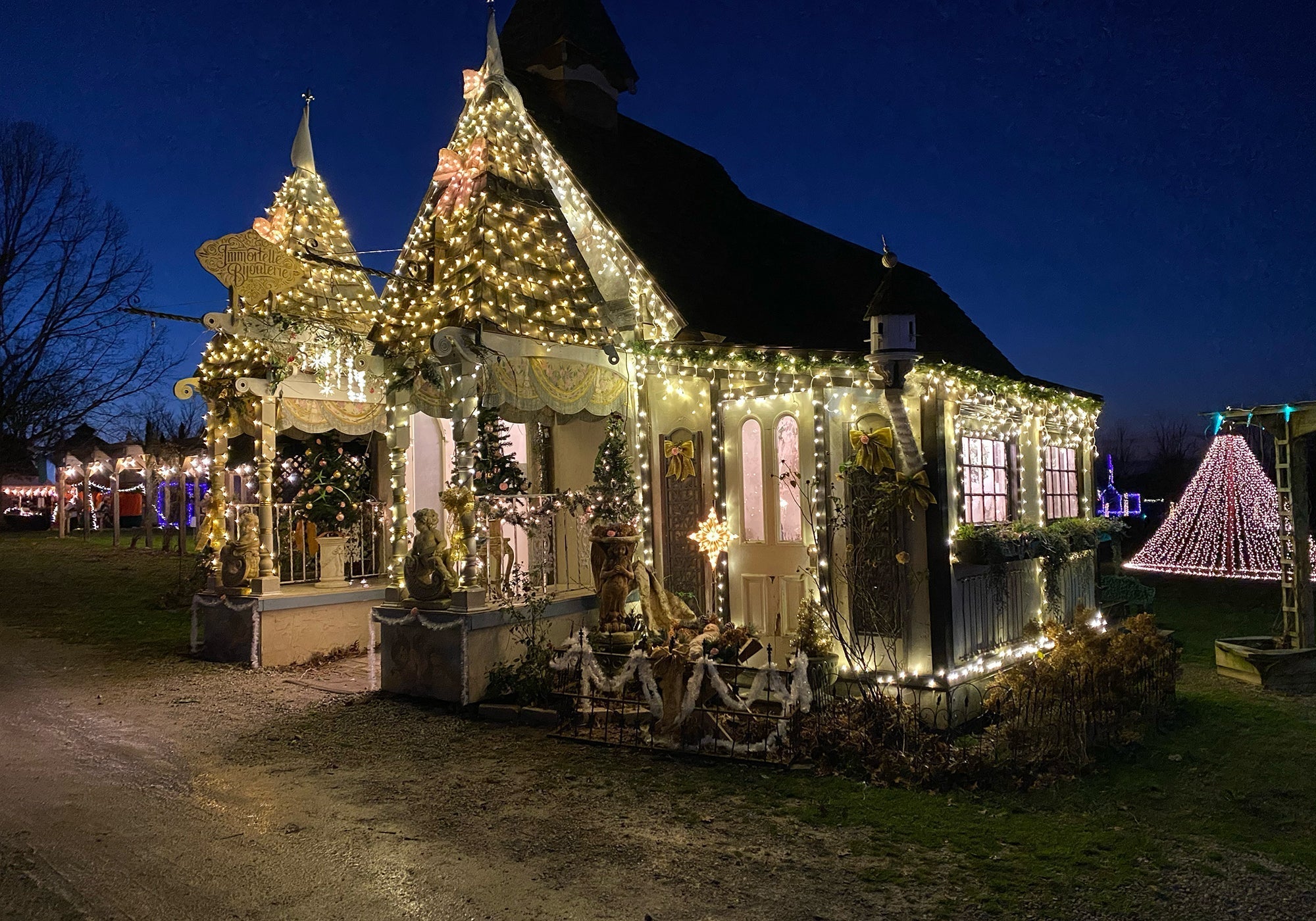 The Early Years of Immortelle: 2020 — The Year of Stewardship