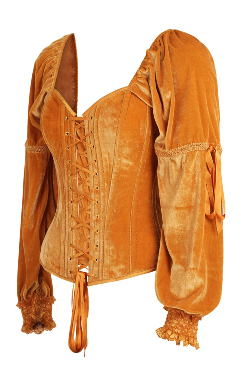 Princess Renaissance Corse in Royal Gold Velvet